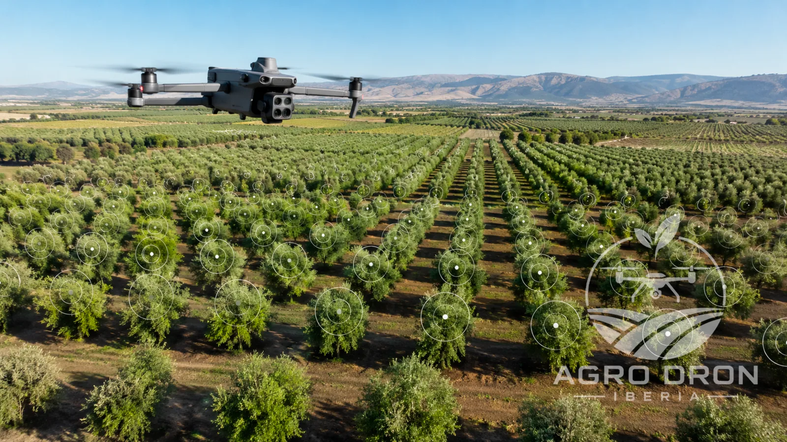Cuadricóptero contando árboles en una plantación con marcadores sobre cada ejemplar