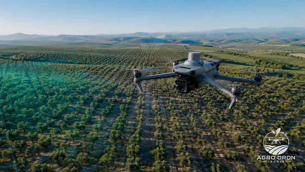 Dron DJI Mavic 3M sobrevolando un olivar para su análisis