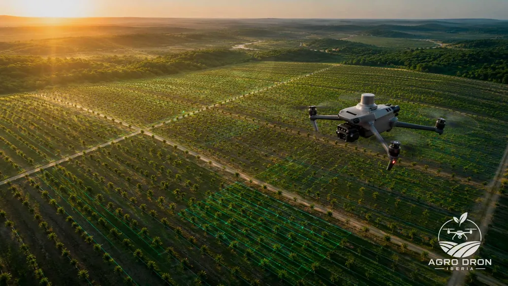 Cartografía aérea para el apoyo al diseño de una plantación