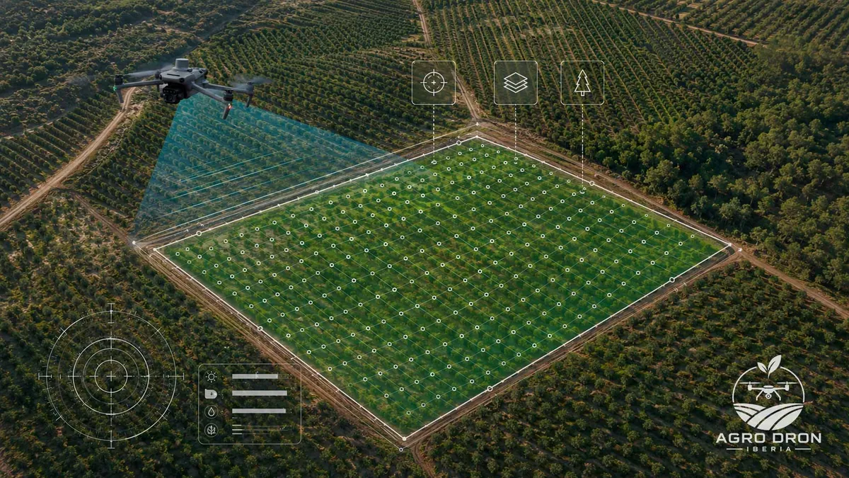 DJI Mavic 3M capturando imágenes multiespectrales sobre una parcela agrícola delimitada